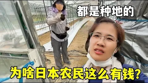 2026世界杯前瞻：库拉索后防压力山大，科特迪瓦边锋疑患伤病